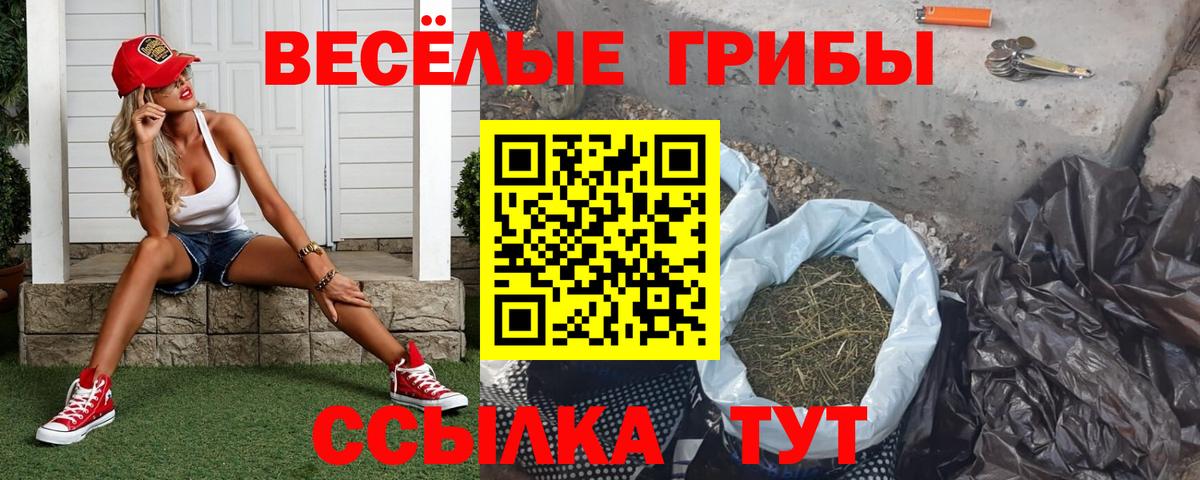 даркнет сайт  Псилоцибиновые грибы Psilocybe  Вход с VPN  Псилоцибиновые грибы MAGIC MUSHROOMS  Фрязино 